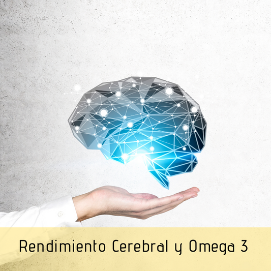 Rendimiento Cerebral y Omega 3