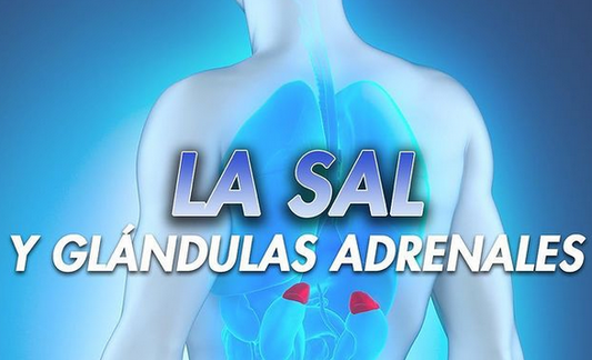 Glándulas Adrenales y Sal.